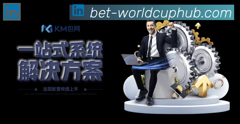 未来规划