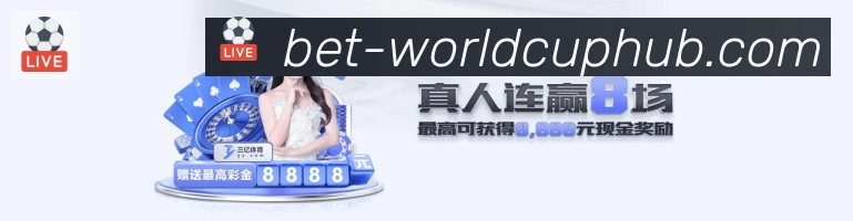登录器